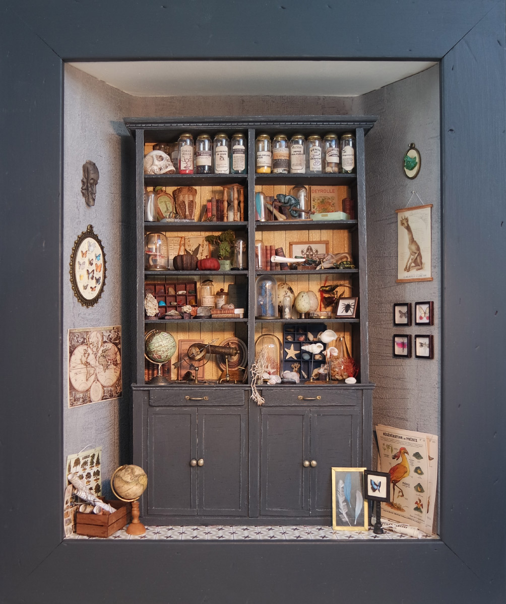 Cabinet de curiosités - Rozenn Miniatures