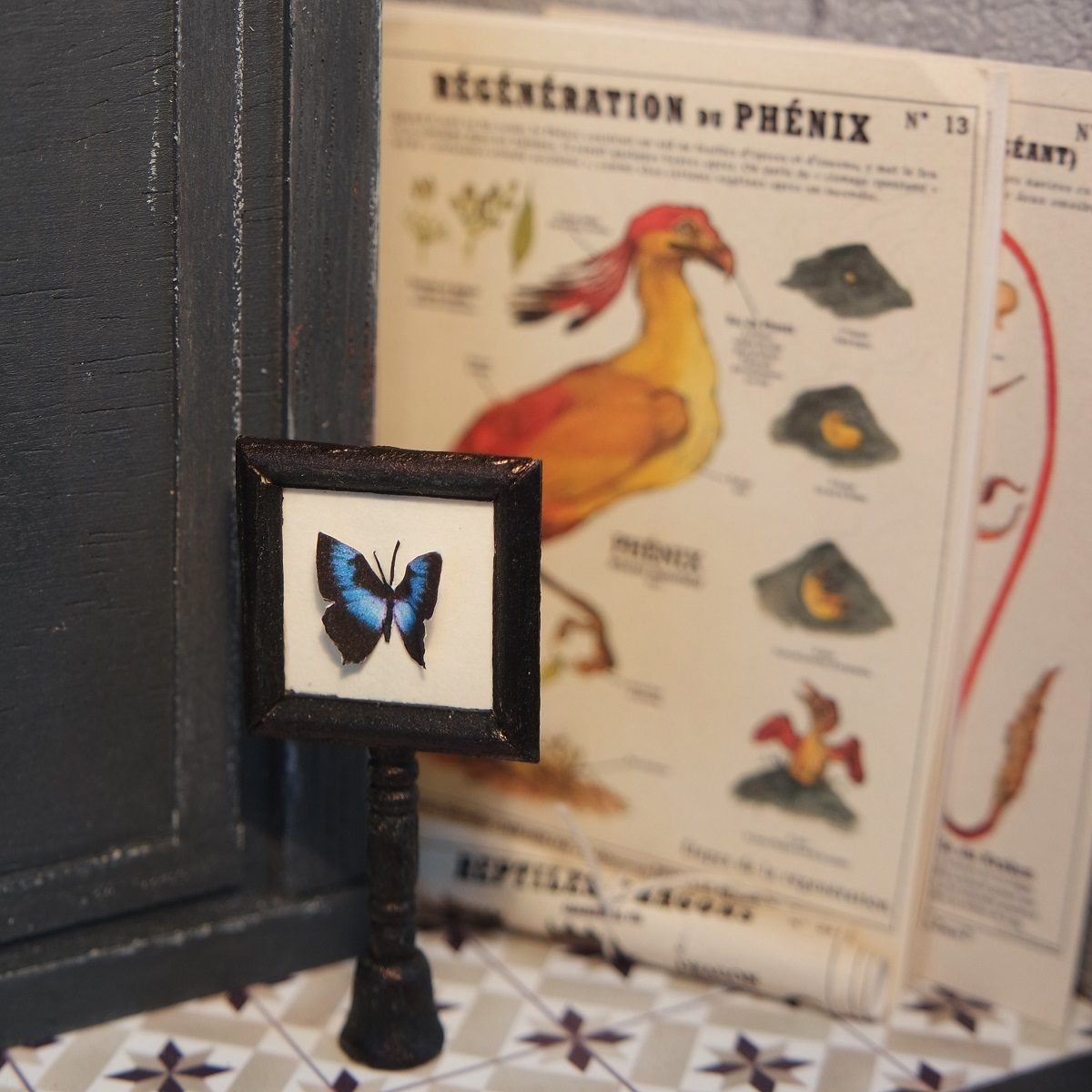 Cabinet de curiosités - Rozenn Miniatures